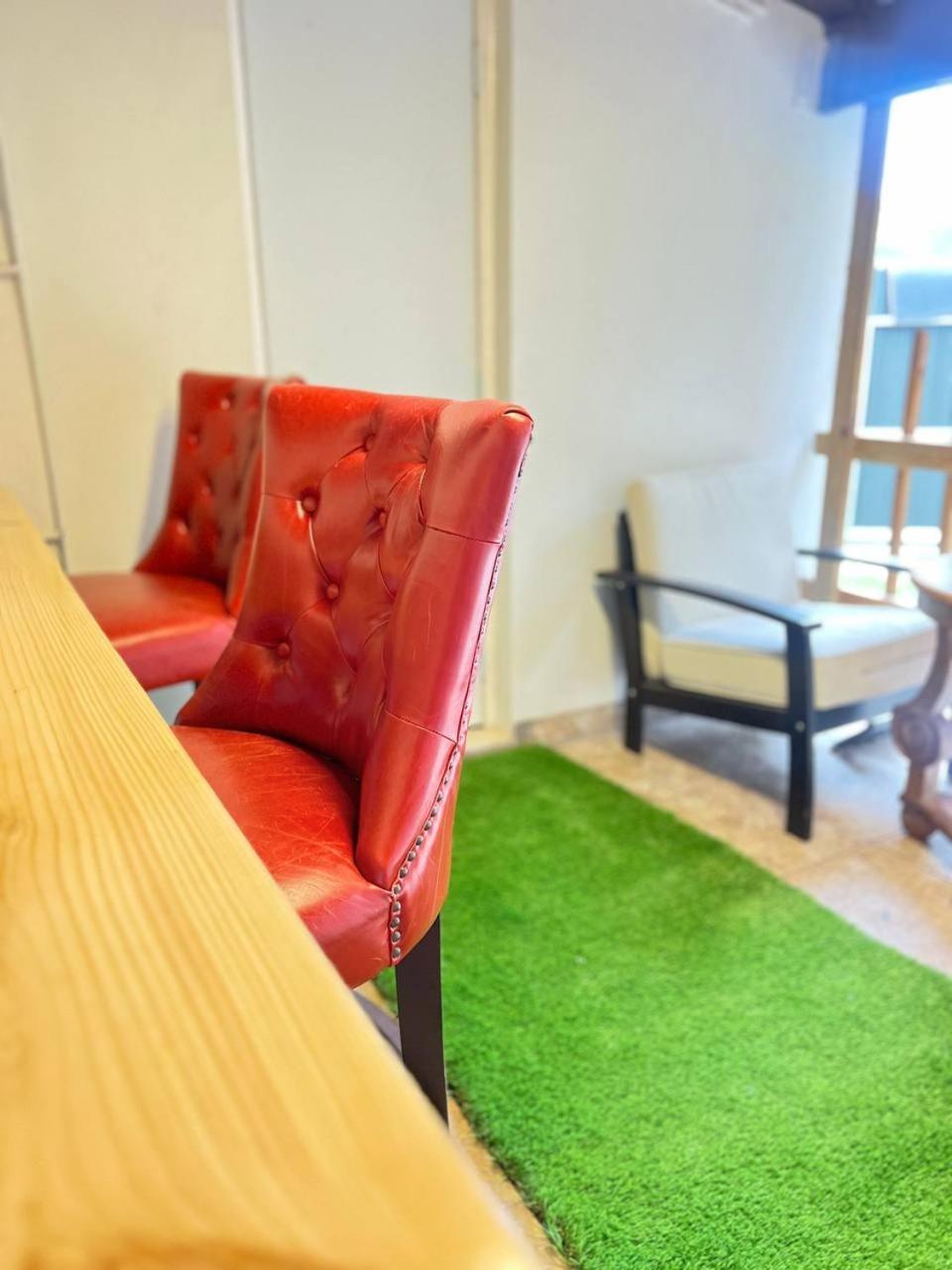 Appartement Work, Rest And Play: Wifi, Tv And Backyard Bliss à North Miami Beach Extérieur photo